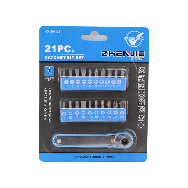 21 chiếc có rãnh Phillips Pozidriv Hex Torx Ratchet Bit Set