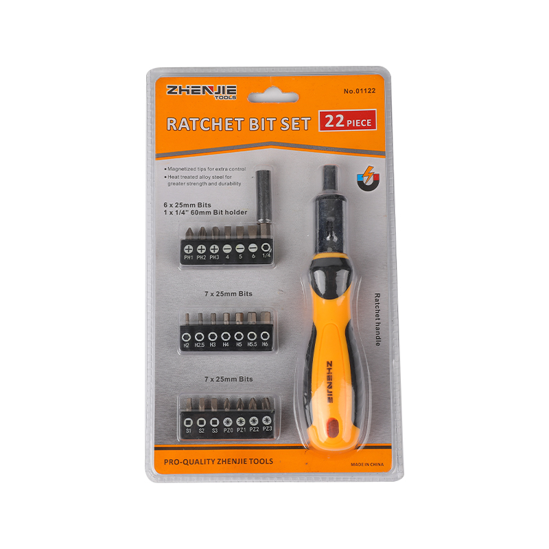 22 chiếc có rãnh Phillips Pozidriv Hex Bộ bit Ratchet vuông